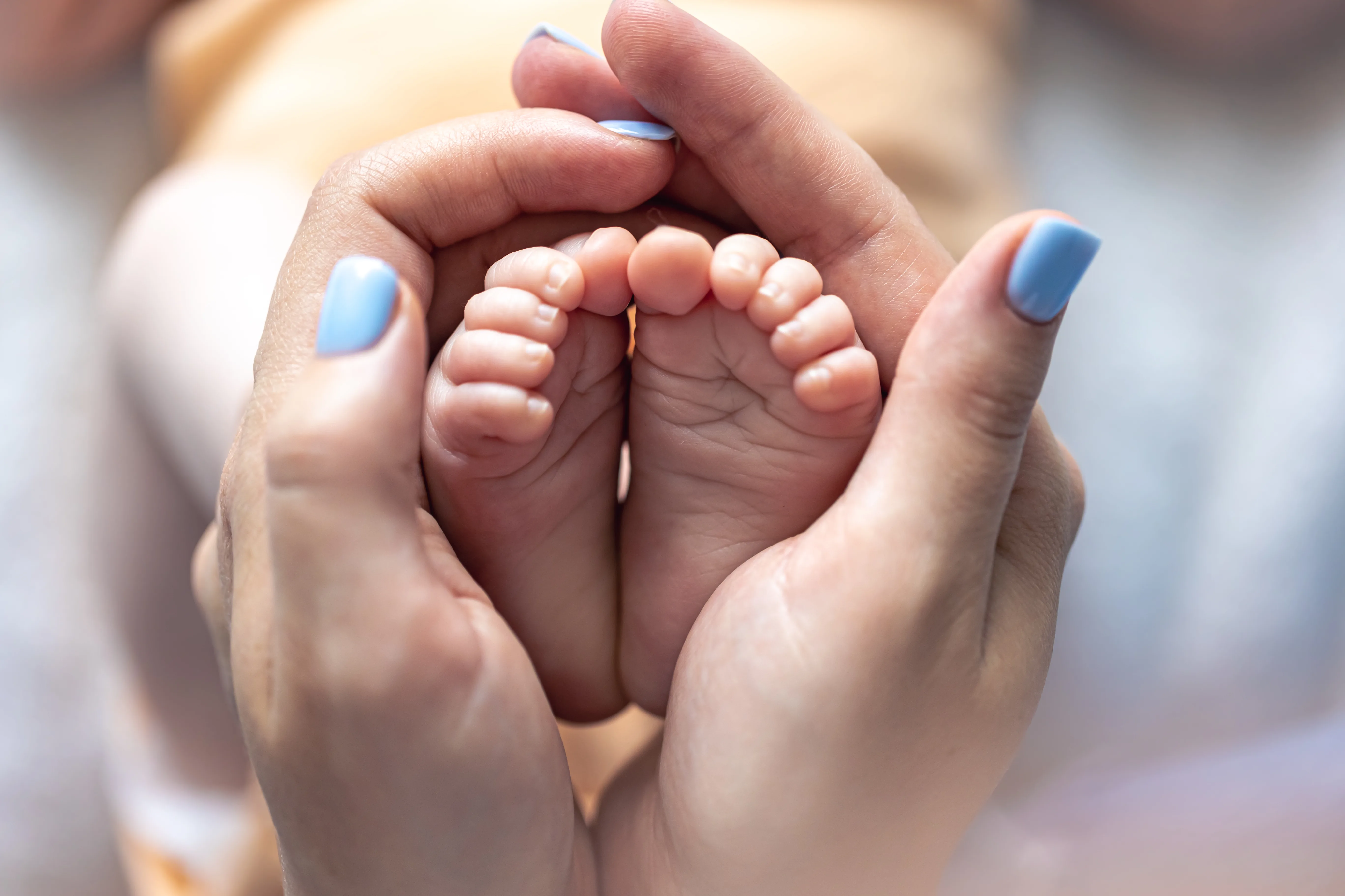 IVF ICSI Process
